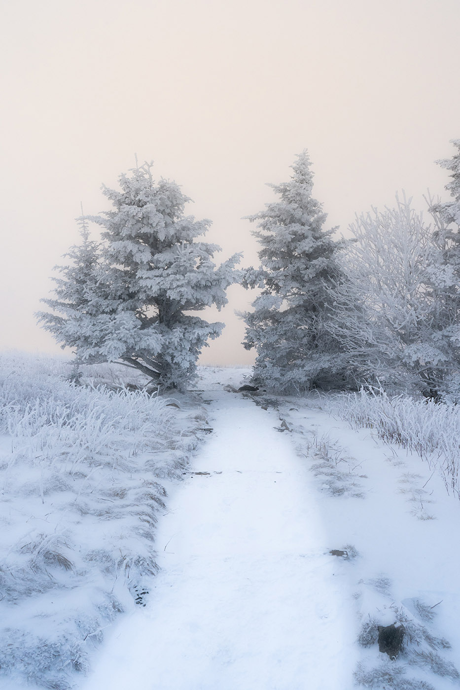 Asheville Snow Hiking