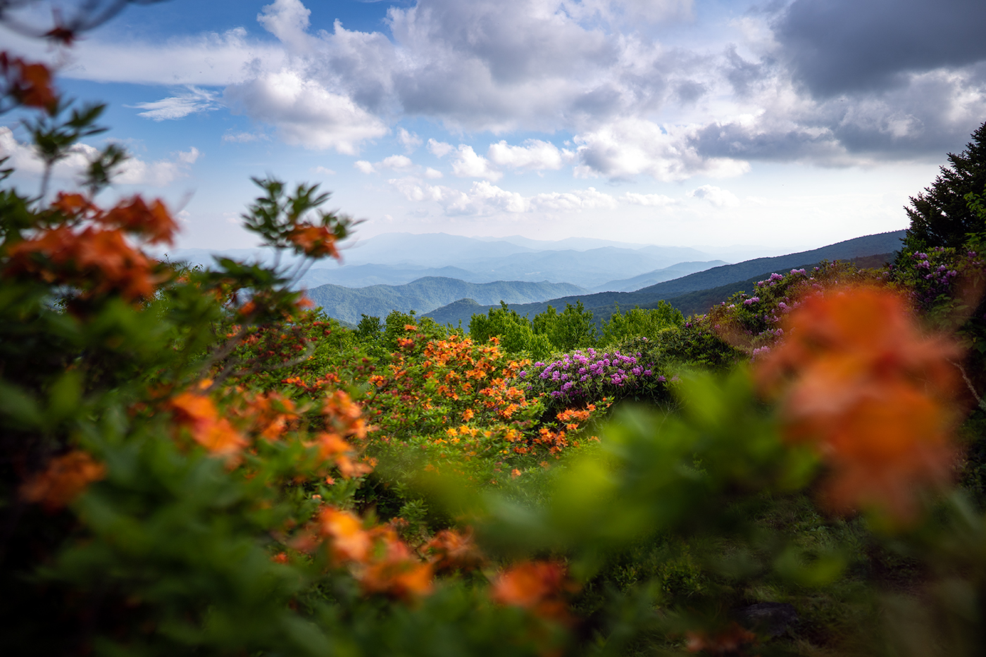 Roan Highlands Workshop