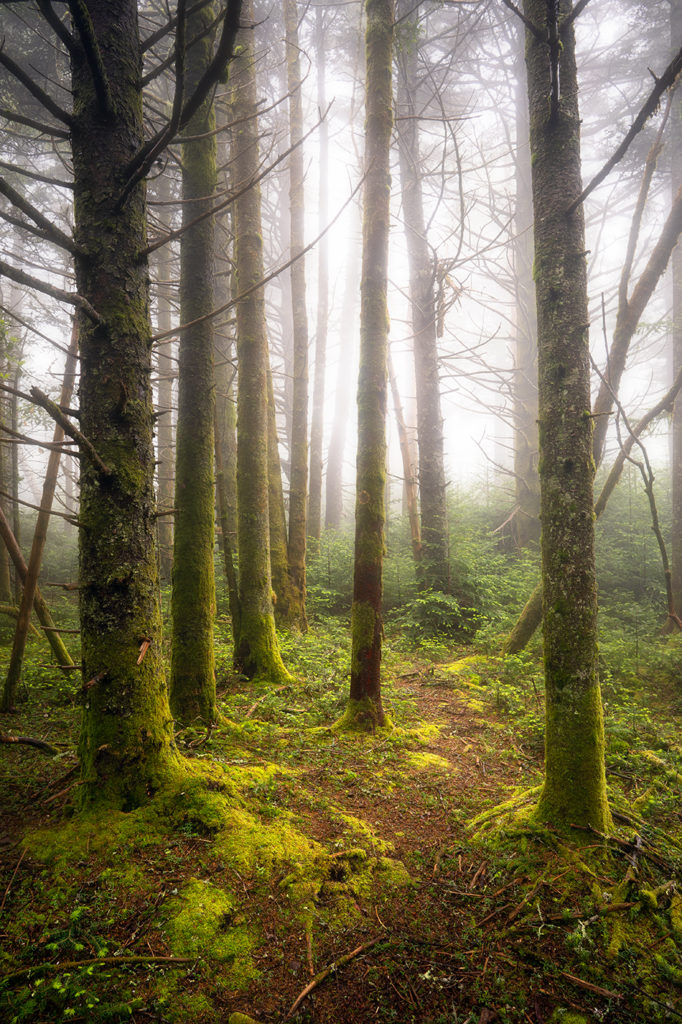 Roan Highlands Workshop