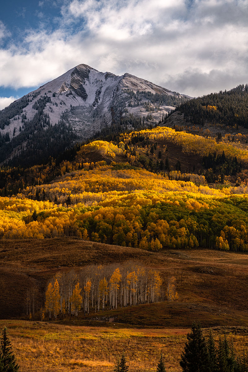 Fall Colors in Gothic