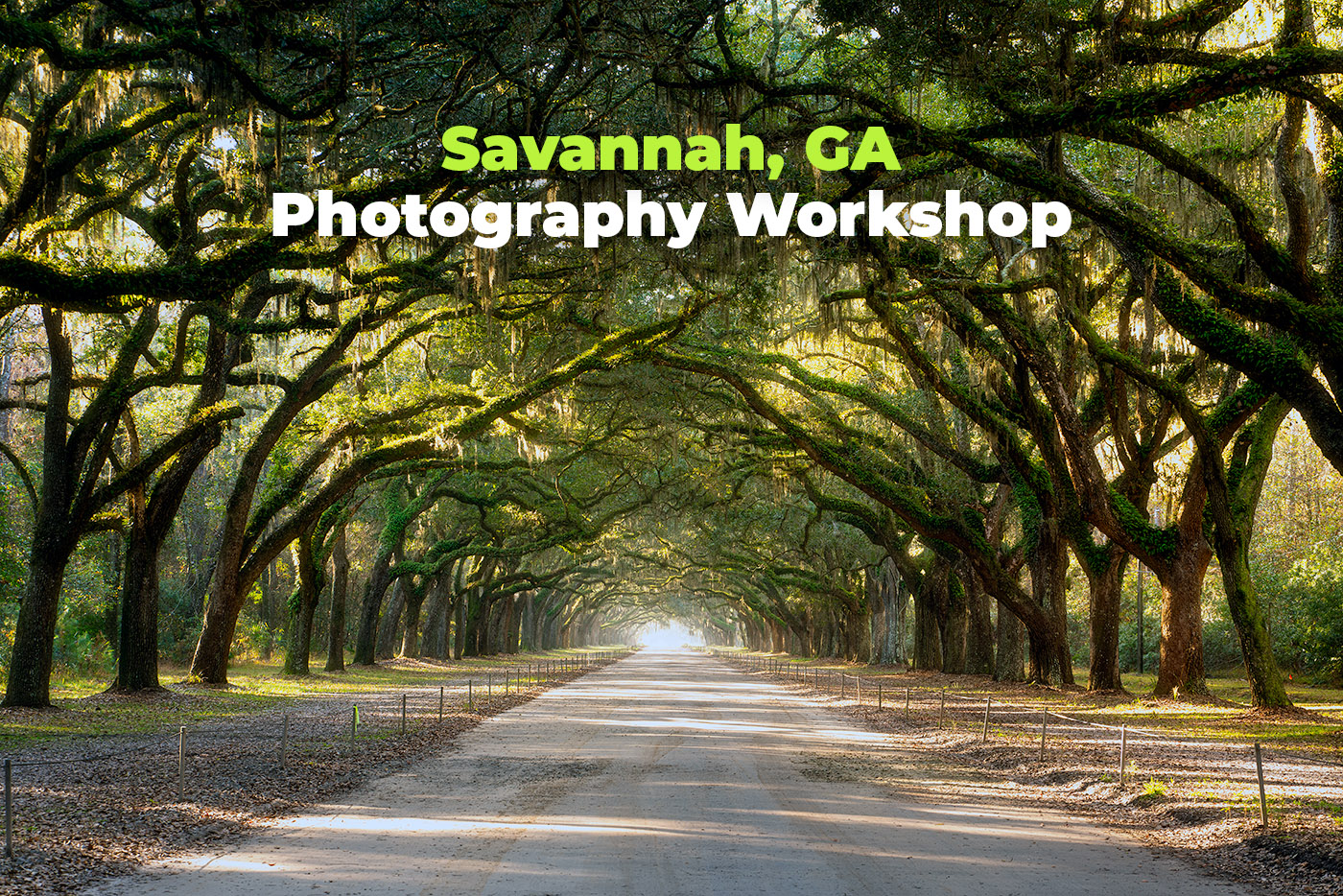 2025 Spring in Savannah Photography Workshop - WNC Photo Tours