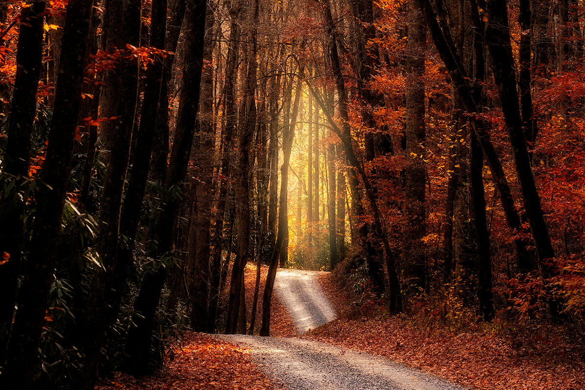 Fall Color in Cherokee, NC